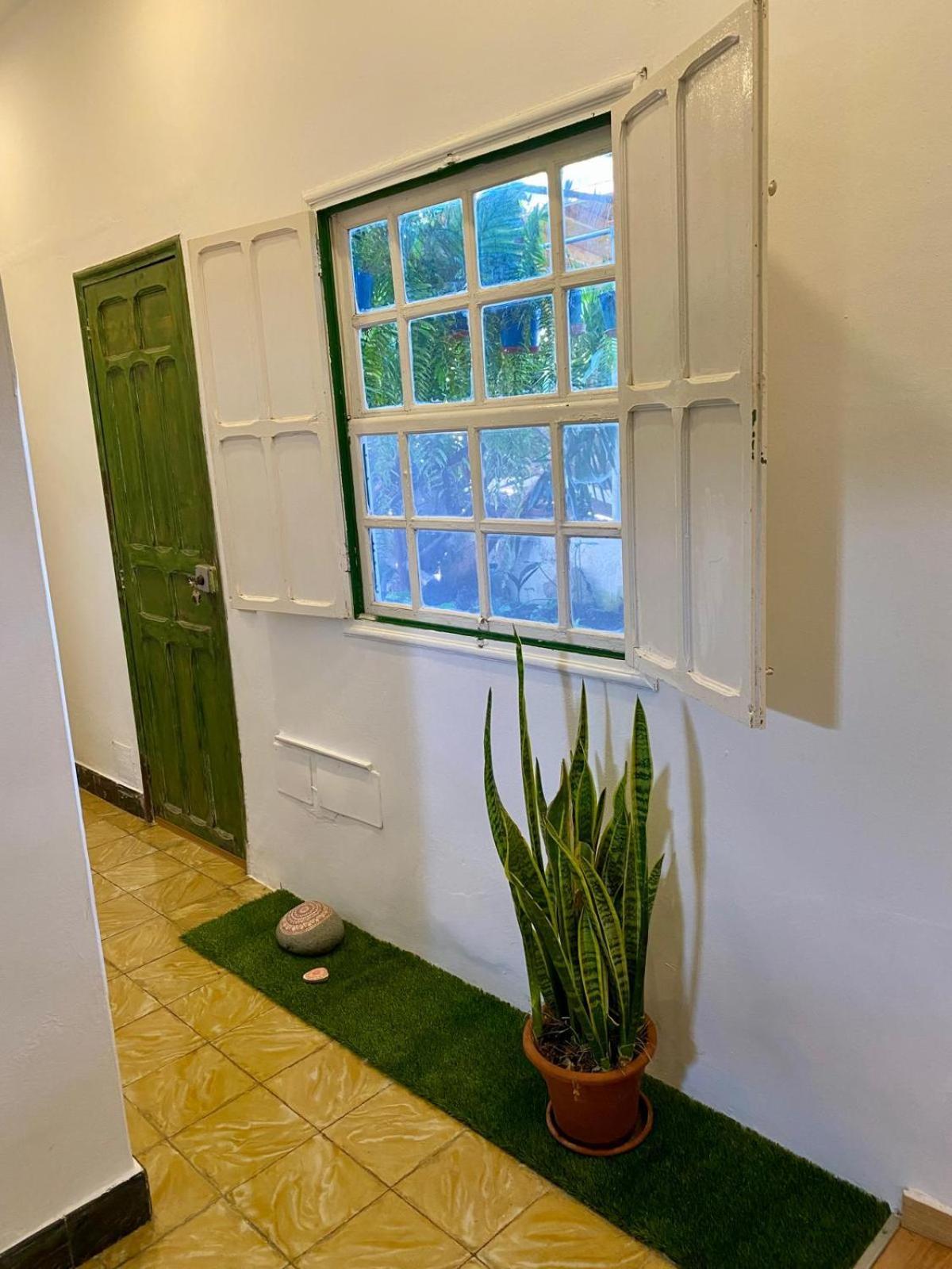 Espacio Antares Ferienhaus Icod De Los Vinos